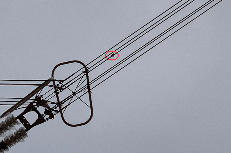 初心如磐，特力康高壓輸電線路導(dǎo)線溫度在線監(jiān)測系統(tǒng)